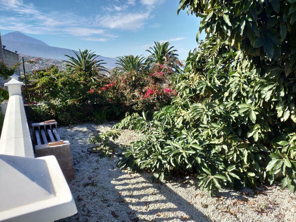 Villas Norte Piscina Privada Climatizada La Victoria de Acentejo エクステリア 写真